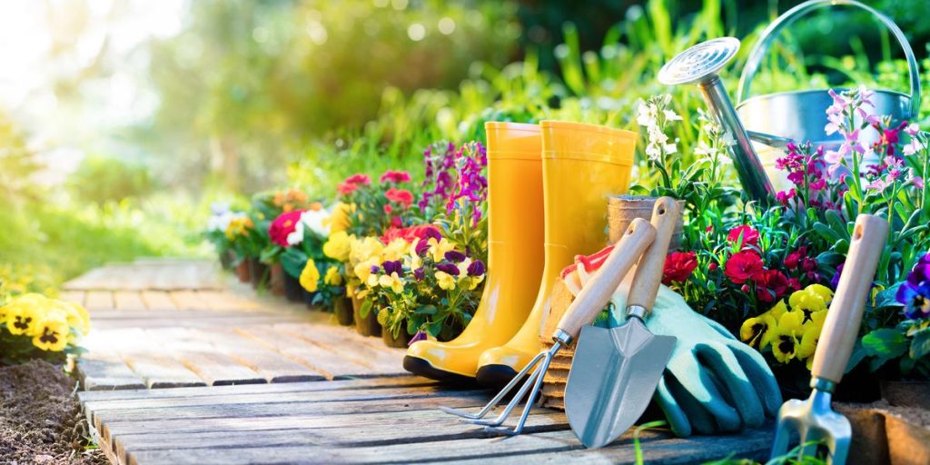 Helpful gardening tips for beginners